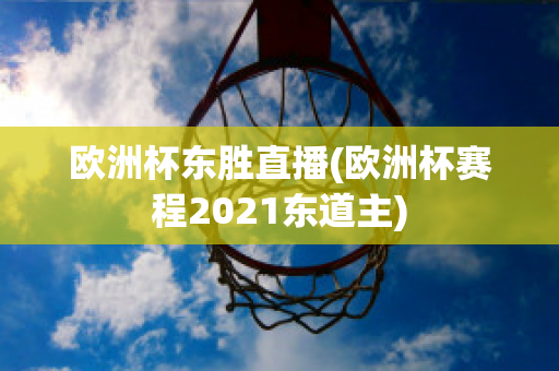 欧洲杯东胜直播(欧洲杯赛程2021东道主)