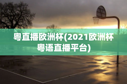 粤直播欧洲杯(2021欧洲杯粤语直播平台)