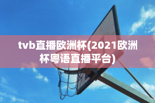 tvb直播欧洲杯(2021欧洲杯粤语直播平台)