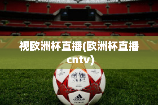 视欧洲杯直播(欧洲杯直播 cntv)