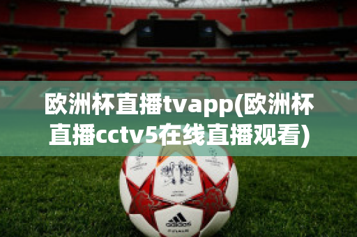 欧洲杯直播tvapp(欧洲杯直播cctv5在线直播观看)