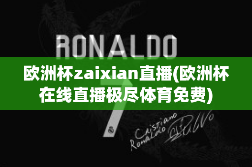 欧洲杯zaixian直播(欧洲杯在线直播极尽体育免费)