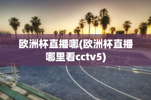 欧洲杯直播哪(欧洲杯直播哪里看cctv5)