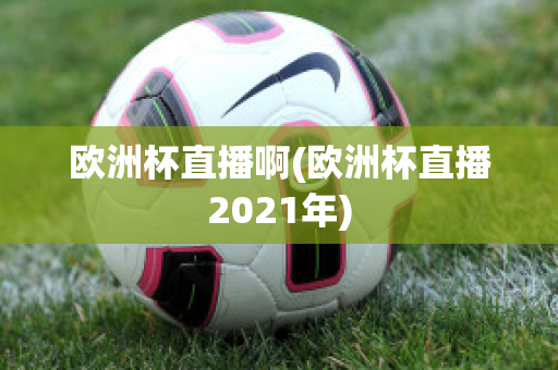 欧洲杯直播啊(欧洲杯直播2021年)