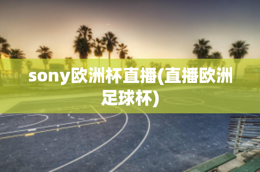 sony欧洲杯直播(直播欧洲足球杯)