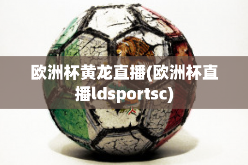 欧洲杯黄龙直播(欧洲杯直播ldsportsc)