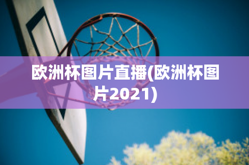 欧洲杯图片直播(欧洲杯图片2021)