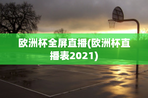 欧洲杯全屏直播(欧洲杯直播表2021)