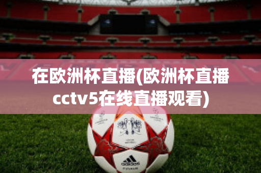 在欧洲杯直播(欧洲杯直播cctv5在线直播观看)