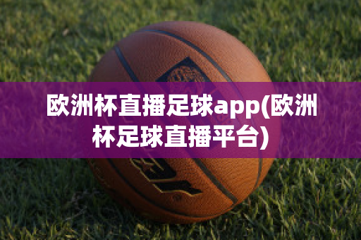 欧洲杯直播足球app(欧洲杯足球直播平台)