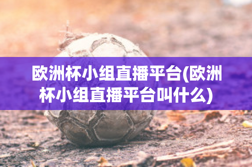 欧洲杯小组直播平台(欧洲杯小组直播平台叫什么)