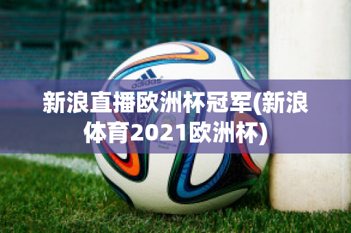 新浪直播欧洲杯冠军(新浪体育2021欧洲杯)