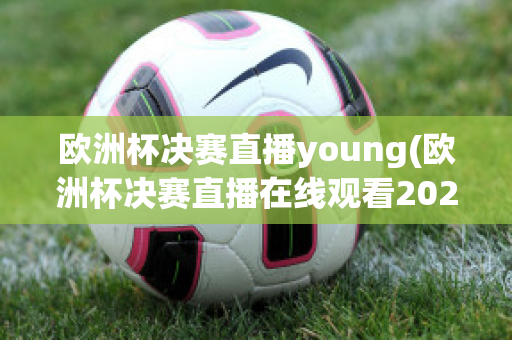 欧洲杯决赛直播young(欧洲杯决赛直播在线观看2023)