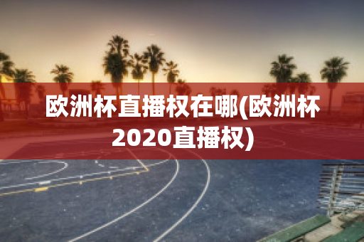 欧洲杯直播权在哪(欧洲杯2020直播权)