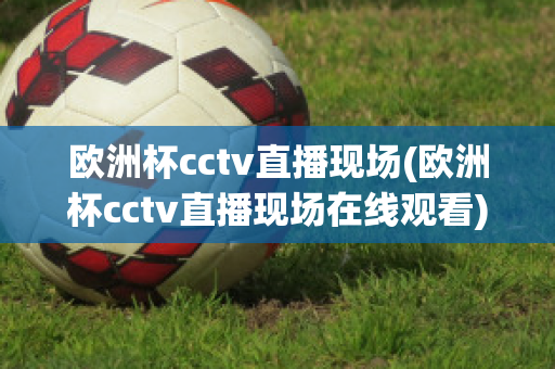 欧洲杯cctv直播现场(欧洲杯cctv直播现场在线观看)