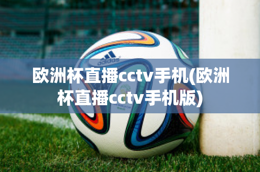 欧洲杯直播cctv手机(欧洲杯直播cctv手机版)