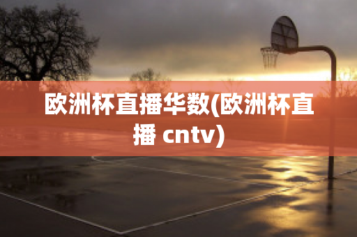 欧洲杯直播华数(欧洲杯直播 cntv)