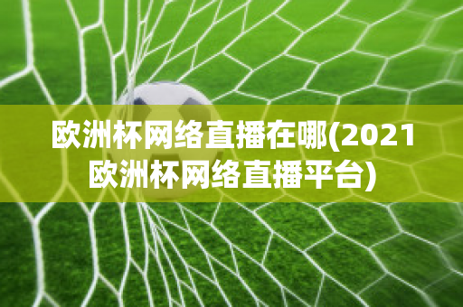 欧洲杯网络直播在哪(2021欧洲杯网络直播平台)