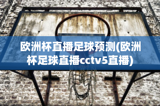 欧洲杯直播足球预测(欧洲杯足球直播cctv5直播)