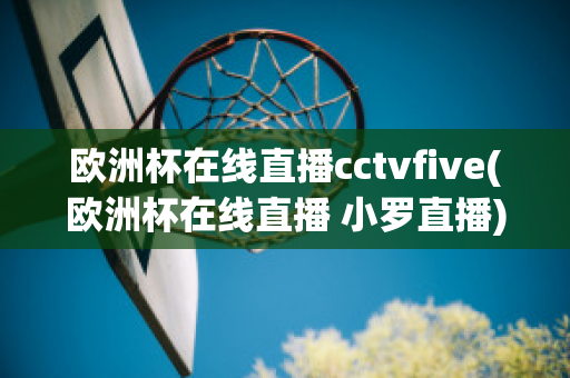 欧洲杯在线直播cctvfive(欧洲杯在线直播 小罗直播)