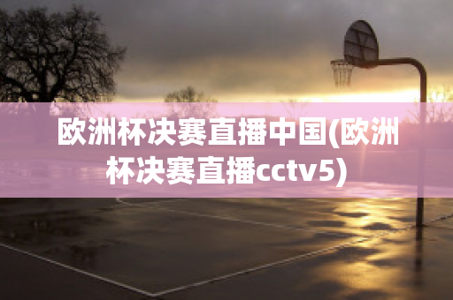 欧洲杯决赛直播中国(欧洲杯决赛直播cctv5)