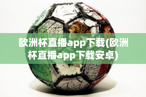 欧洲杯直播app下载(欧洲杯直播app下载安卓)