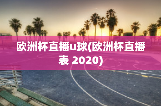 欧洲杯直播u球(欧洲杯直播表 2020)