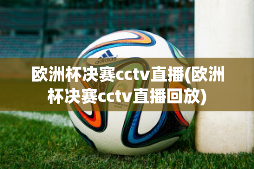 欧洲杯决赛cctv直播(欧洲杯决赛cctv直播回放)