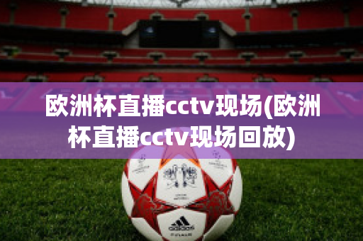 欧洲杯直播cctv现场(欧洲杯直播cctv现场回放)