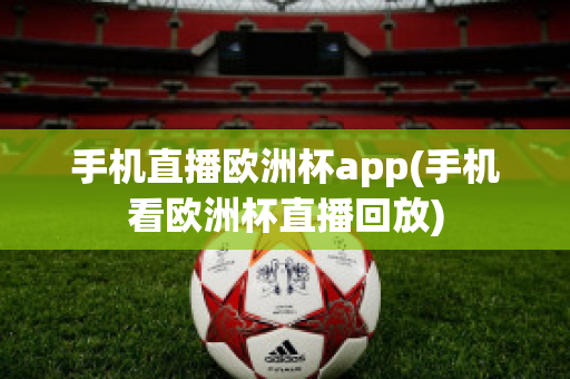 手机直播欧洲杯app(手机看欧洲杯直播回放)