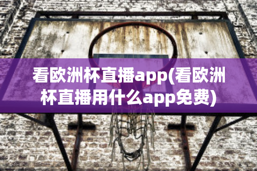 看欧洲杯直播app(看欧洲杯直播用什么app免费)