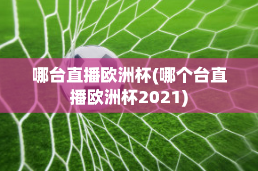 哪台直播欧洲杯(哪个台直播欧洲杯2021)