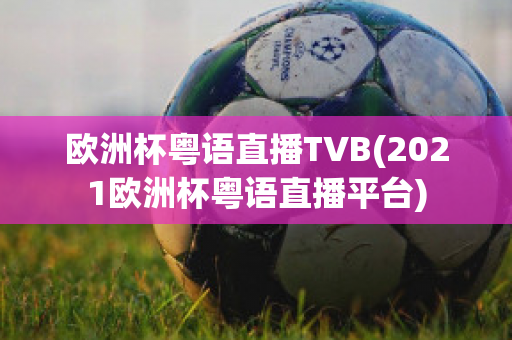 欧洲杯粤语直播TVB(2021欧洲杯粤语直播平台)