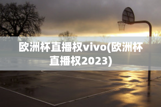 欧洲杯直播权vivo(欧洲杯直播权2023)