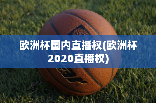 欧洲杯国内直播权(欧洲杯2020直播权)