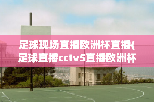 足球现场直播欧洲杯直播(足球直播cctv5直播欧洲杯)