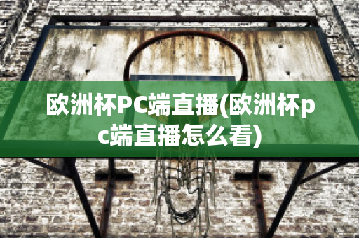 欧洲杯PC端直播(欧洲杯pc端直播怎么看)