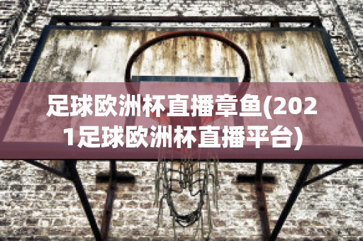 足球欧洲杯直播章鱼(2021足球欧洲杯直播平台)