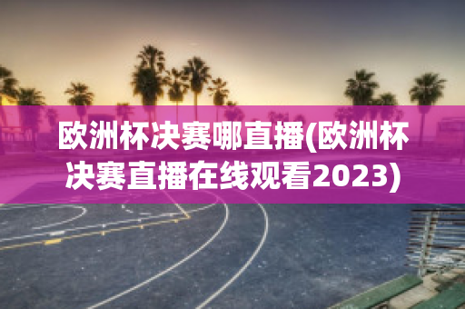 欧洲杯决赛哪直播(欧洲杯决赛直播在线观看2023)