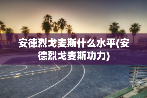 安德烈戈麦斯什么水平(安德烈戈麦斯功力)