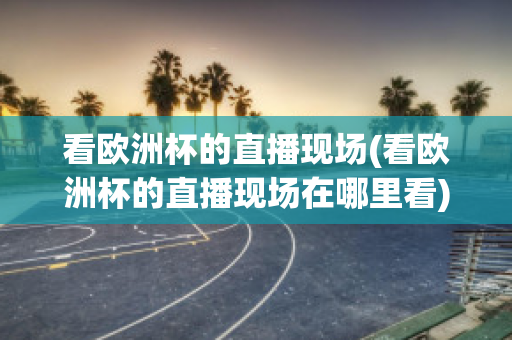 看欧洲杯的直播现场(看欧洲杯的直播现场在哪里看)