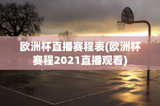 欧洲杯直播赛程表(欧洲杯赛程2021直播观看)