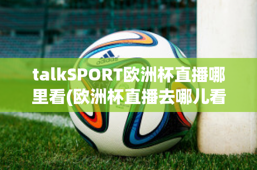 talkSPORT欧洲杯直播哪里看(欧洲杯直播去哪儿看)