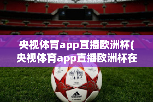 央视体育app直播欧洲杯(央视体育app直播欧洲杯在哪看)