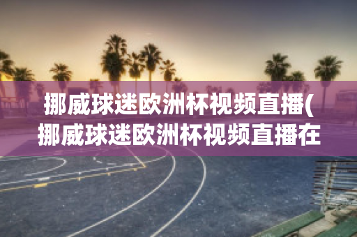 挪威球迷欧洲杯视频直播(挪威球迷欧洲杯视频直播在线观看)