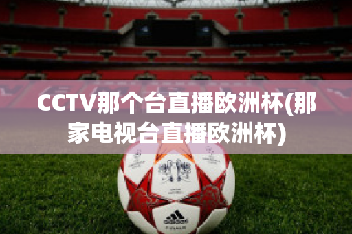 CCTV那个台直播欧洲杯(那家电视台直播欧洲杯)