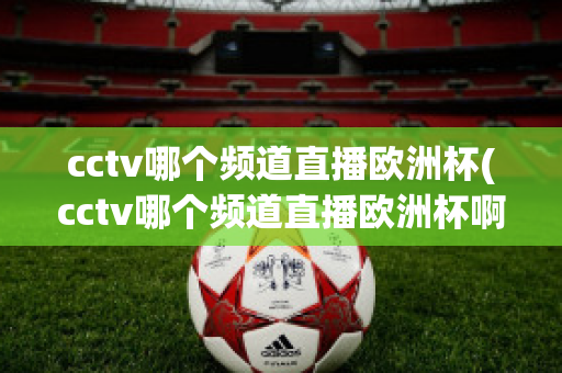 cctv哪个频道直播欧洲杯(cctv哪个频道直播欧洲杯啊)