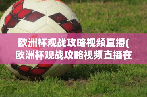 欧洲杯观战攻略视频直播(欧洲杯观战攻略视频直播在线观看)