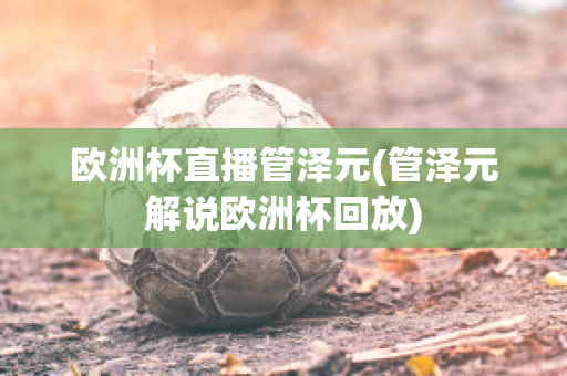 欧洲杯直播管泽元(管泽元解说欧洲杯回放)