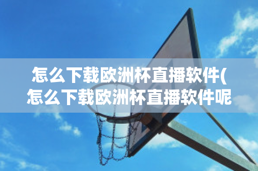 怎么下载欧洲杯直播软件(怎么下载欧洲杯直播软件呢)